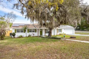 102 ANGLEWOOD DRIVE, BRANDON, FL 33511 - MLS#MFRTB8488518