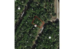 8518 ESCOBAR ROAD, DUNNELLON, FL 34434 - MLS#MFRTB8488540