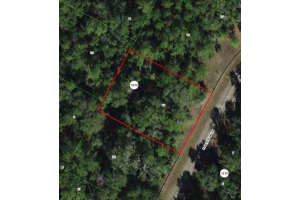 8516 ESCOBAR ROAD, DUNNELLON, FL 34434 - MLS#MFRTB8488545