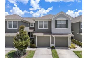 2158 River Turia Cir, RIVERVIEW