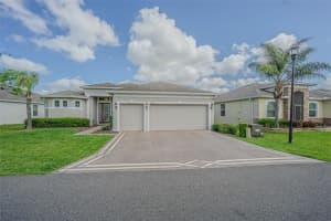 29203 GRASS BUNKER DRIVE, SAN ANTONIO, FL 33576 - MLS#MFRTB8488553