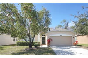 14330 MOON FLOWER DRIVE, TAMPA, FL 33626 - MLS#MFRTB8488558