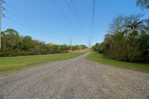 6890 COUNTY ROAD 95, PALM HARBOR, FL 34684 - MLS#MFRTB8488562