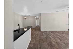 16305 ENCLAVE VILLAGE DRIVE, TAMPA, FL 33647 - MLS#MFRTB8488566