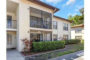 3323 CRYSTAL COURT, PALM HARBOR, FL 34685 - MLS#MFRTB8488585