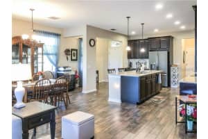 1941 MILKWEED TRACE, LUTZ, FL 33558 - MLS#MFRTB8488596