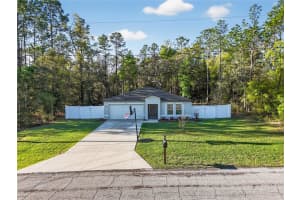 10058 ATHENIA DRIVE, CITRUS SPRINGS, FL 34434 - MLS#MFRTB8488601