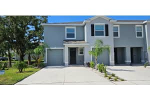 299 MANGROVE SHADE CIRCLE, APOLLO BEACH, FL 33572 - MLS#MFRTB8488602