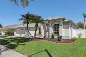 1524 STIPULE COURT, TRINITY, FL 34655 - MLS#MFRTB8488603