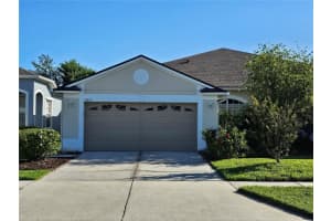 31819 Blythewood Way, WESLEY CHAPEL