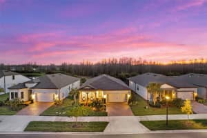 19469 SEA GLASS CIRCLE, LAND O LAKES, FL 34638 - MLS#MFRTB8488610