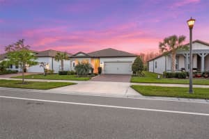 19469 SEA GLASS CIRCLE, LAND O LAKES, FL 34638 - MLS#MFRTB8488610