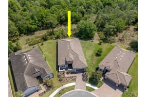 20003 UMBRIA HILL DRIVE, TAMPA, FL 33647 - MLS#MFRTB8488617
