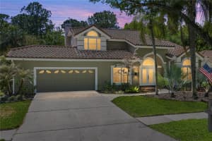 17820 GREY BROOKE DRIVE, TAMPA, FL 33647 - MLS#MFRTB8488626