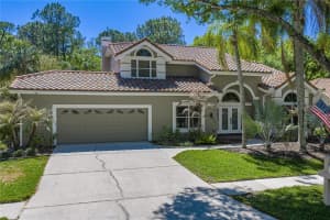 17820 GREY BROOKE DRIVE, TAMPA, FL 33647 - MLS#MFRTB8488626