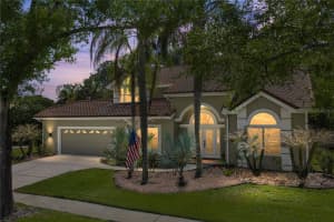 17820 GREY BROOKE DRIVE, TAMPA, FL 33647 - MLS#MFRTB8488626