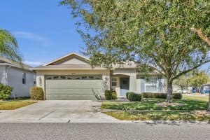 18565 STROMBURY DRIVE, LAND O LAKES, FL 34638 - MLS#MFRTB8488690