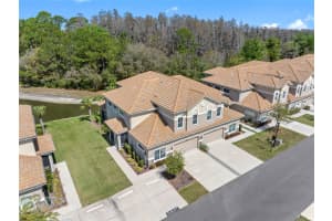 29943 GANGA WAY, WESLEY CHAPEL, FL 33543 - MLS#MFRTB8488755