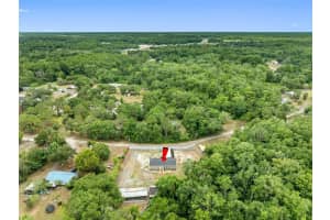 17151 LEMON STREET, SPRING HILL, FL 34610 - MLS#MFRTB8488763