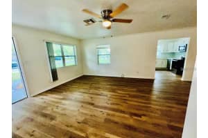 1247 DAVIS ROAD, DUNEDIN, FL 34698 - MLS#MFRTB8488776