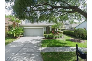 9903 Hartwell Bridge Cir, TAMPA