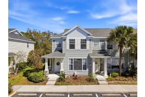 12316 COUNTRY WHITE CIRCLE, TAMPA, FL 33635 - MLS#MFRTB8488794