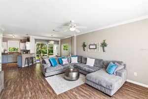 12316 COUNTRY WHITE CIRCLE, TAMPA, FL 33635 - MLS#MFRTB8488794