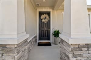 28570 SWEET PERSIMMON DRIVE, WESLEY CHAPEL, FL 33543 - MLS#MFRTB8488858