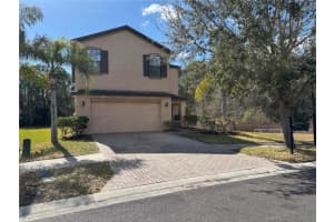 20014 Date Palm Way, TAMPA