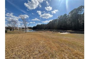 20014 DATE PALM WAY, TAMPA, FL 33647 - MLS#MFRTB8488868