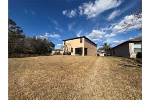 20014 DATE PALM WAY, TAMPA, FL 33647 - MLS#MFRTB8488868