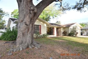 2562 REDWOOD WAY, CLEARWATER, FL 33761 - MLS#MFRTB8488901