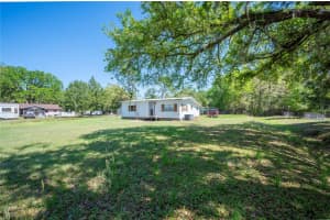 6448 CANDLEWOOD DRIVE, WESLEY CHAPEL, FL 33544 - MLS#MFRTB8488910