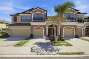 11539 CROWNED SPARROW LANE, TAMPA, FL 33626 - MLS#MFRTB8488928