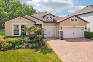 19246 Briarbrook Dr, TAMPA