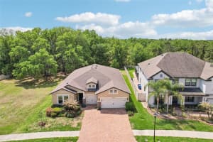 19246 BRIARBROOK DRIVE, TAMPA, FL 33647 - MLS#MFRTB8488934