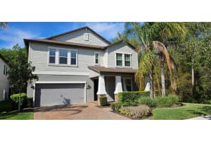 6220 Windship Ct, TAMPA