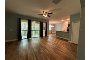 20515 GRAND VISTA LANE, TAMPA, FL 33647 - MLS#MFRTB8489000