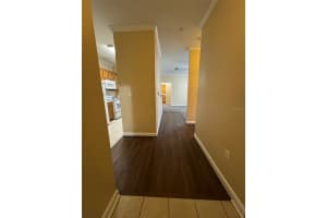 18575 BRIDLE CLUB DRIVE, TAMPA, FL 33647 - MLS#MFRTB8489003