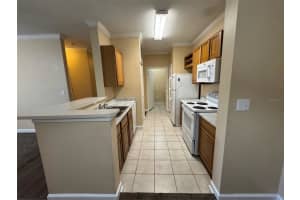 18575 BRIDLE CLUB DRIVE, TAMPA, FL 33647 - MLS#MFRTB8489003