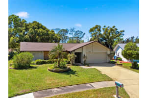 2928 MACALPIN DRIVE, PALM HARBOR, FL 34684 - MLS#MFRTB8489035