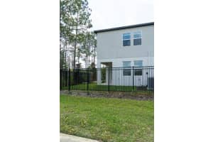 10844 FOWLERS BLUFF COURT, TAMPA, FL 33647 - MLS#MFRTB8489038