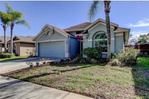10290 OASIS PALM DRIVE, TAMPA, FL 33615 - MLS#MFRTB8489051