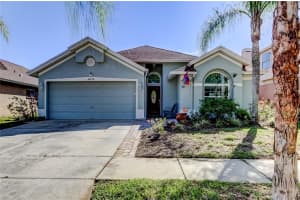 10290 OASIS PALM DRIVE, TAMPA, FL 33615 - MLS#MFRTB8489051