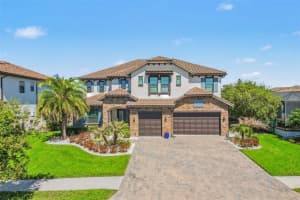 28336 PICANA LANE, WESLEY CHAPEL, FL 33543 - MLS#MFRTB8489055