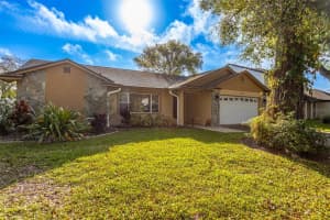 8639 LEIGHTON DRIVE, TAMPA, FL 33614 - MLS#MFRTB8489060