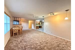 2122 CR 437A, LAKE PANASOFFKEE, FL 33538 - MLS#MFRTB8489073