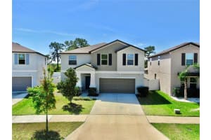 12841 WILDFLOWER MEADOW DRIVE, RIVERVIEW, FL 33579 - MLS#MFRTB8489086