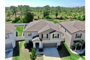 12841 WILDFLOWER MEADOW DRIVE, RIVERVIEW, FL 33579 - MLS#MFRTB8489086