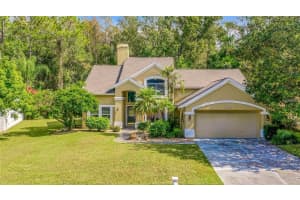 6708 Yardley Way, TAMPA